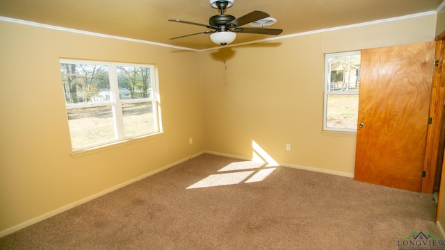 spare room featuring carpet flooring, ceiling fan, and ornamental molding