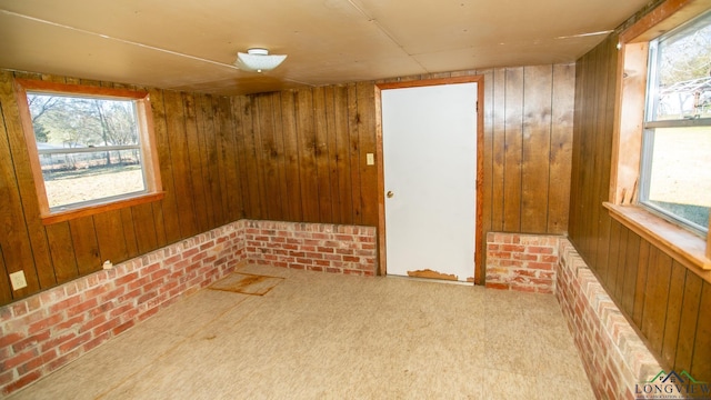 carpeted spare room featuring wooden walls