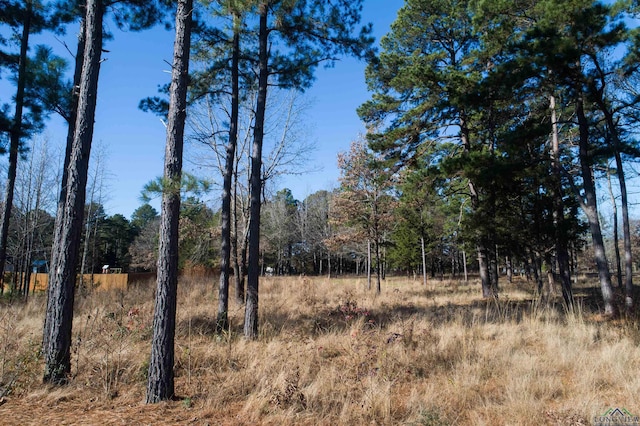 TBD Clover Lane, Diana TX, 75640 land for sale