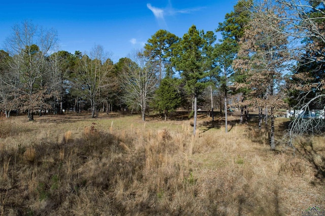 Listing photo 3 for TBD Clover Lane, Diana TX 75640