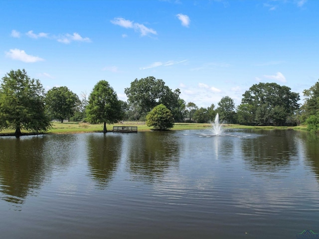 property view of water