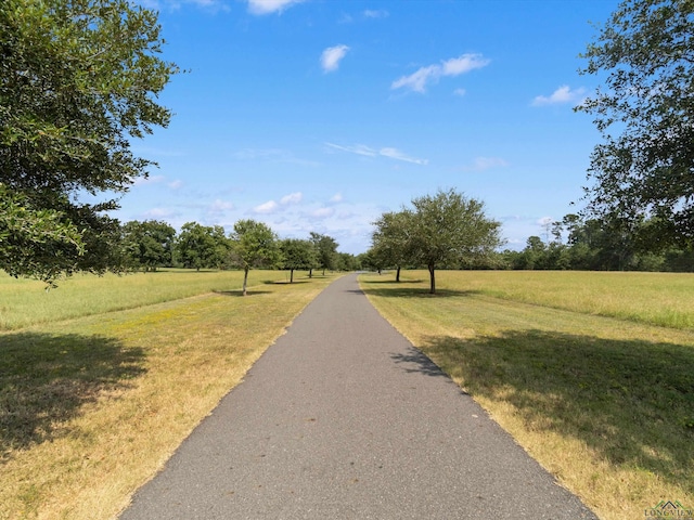 view of street with a rural view