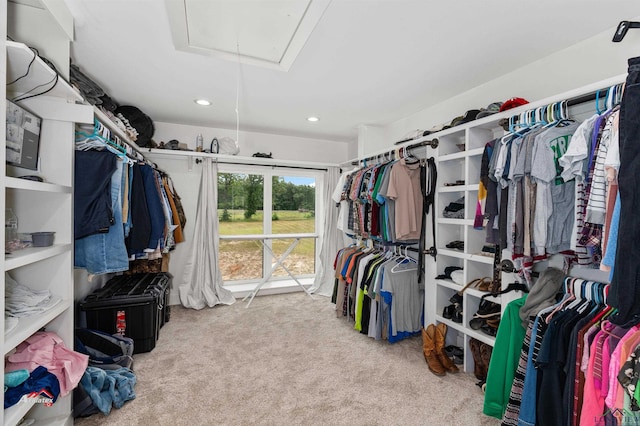 walk in closet featuring carpet flooring