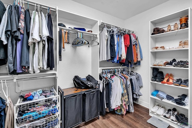 spacious closet with dark wood-type flooring