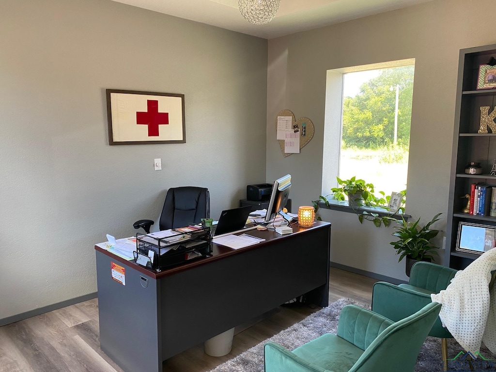 office with light hardwood / wood-style flooring