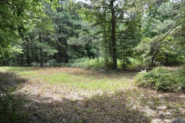 view of local wilderness featuring a view of trees