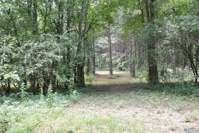 view of nature with a wooded view