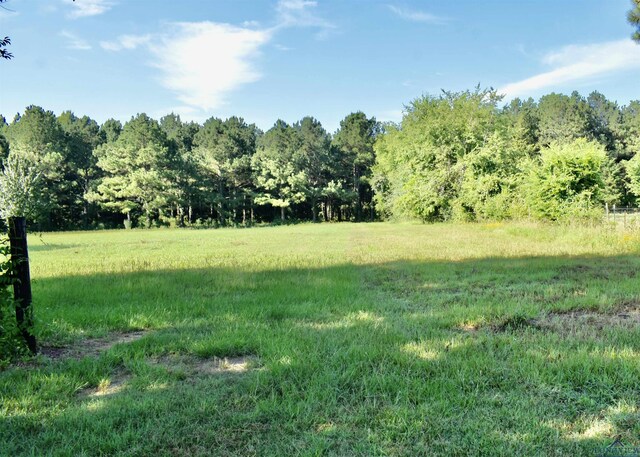 view of yard with a view of trees