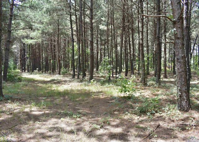 view of nature with a forest view