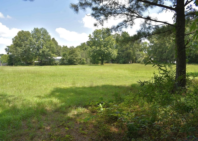 12545 Fm 968 W, Longview, TX 75602 - view of yard