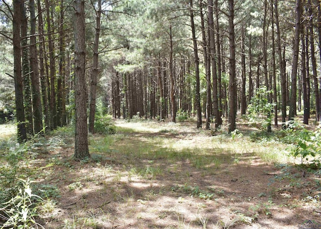 12545 Fm 968 W, Longview, TX 75602 - view of wooded area