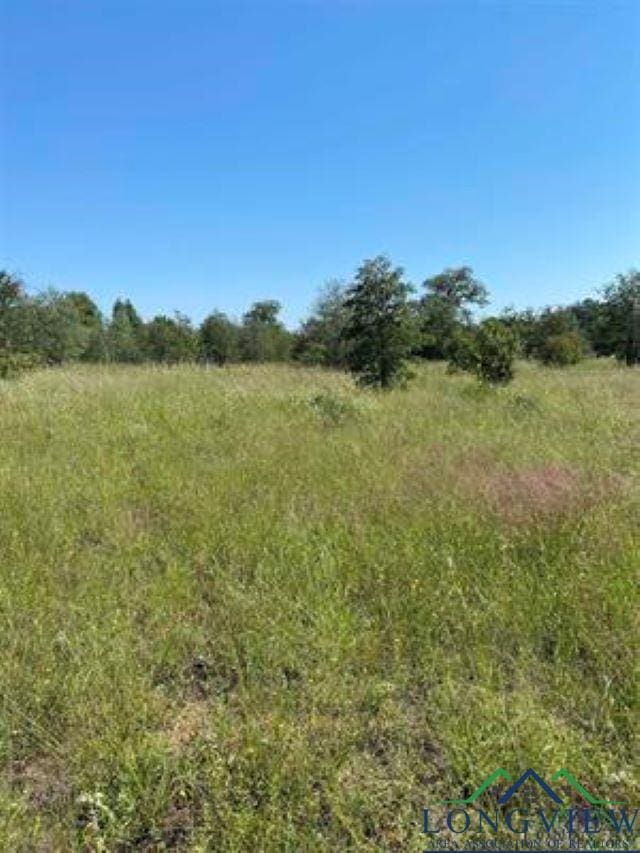 Listing photo 3 for TBD County Road 1242, Douglassville TX 75560