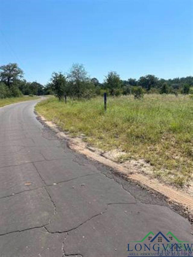 Listing photo 2 for TBD County Road 1242, Douglassville TX 75560