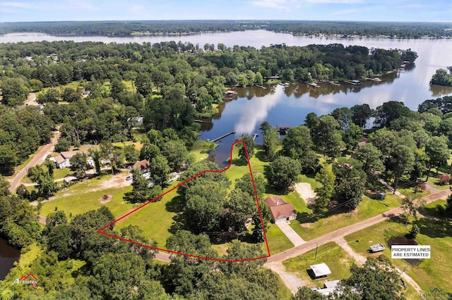 bird's eye view featuring a water view