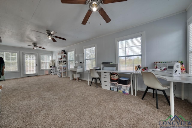 carpeted office with crown molding