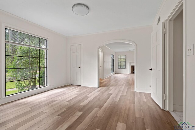 interior space with light hardwood / wood-style floors, crown molding, and a wealth of natural light