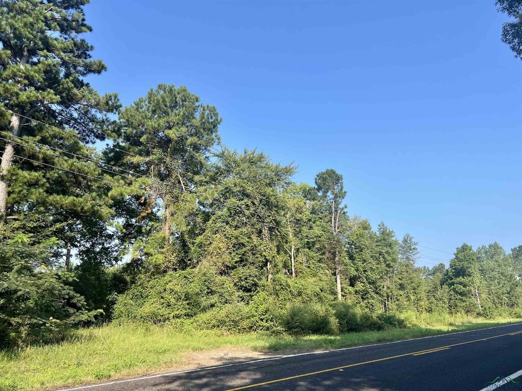 TBD Fm 31 S, Carthage, TX 75633