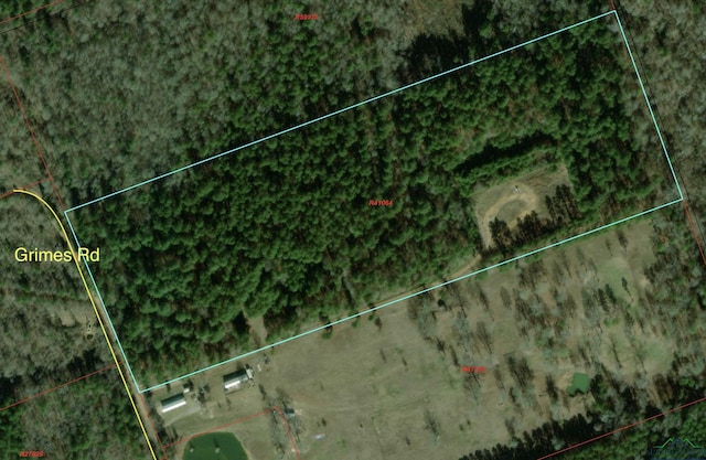 TBD Grimes Rd, Elysian Fields, TX 75642 - photo 1