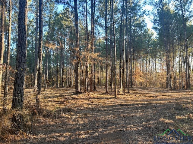 Listing photo 3 for TBD19AC Boggy Rd, Waskom TX 75692