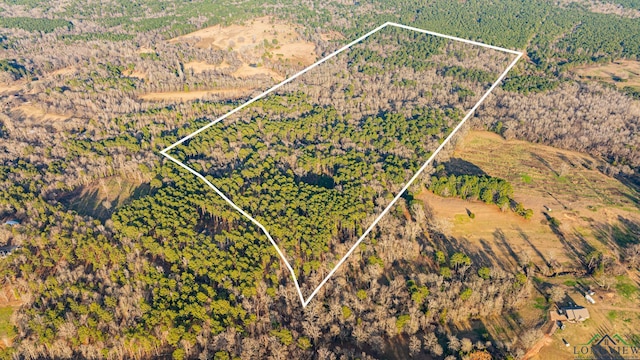 TBD Jasmine Road, Gilmer TX, 75644 land for sale