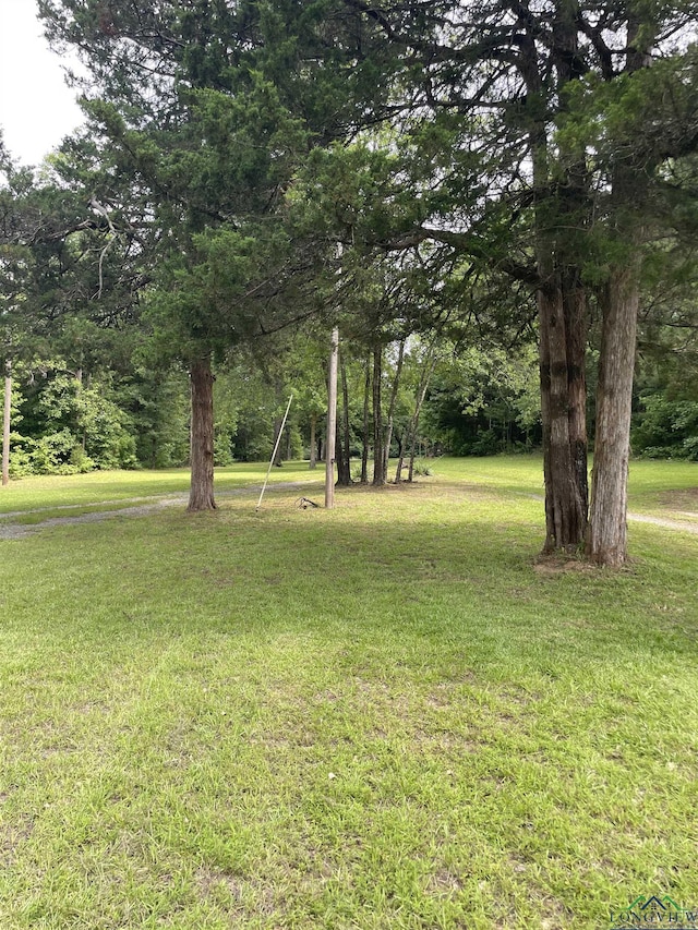 7341 Fm 2791, Atlanta, TX 75551 - photo 29