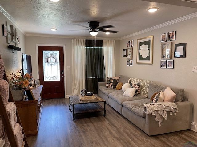 living room with ceiling fan, wood-type flooring, a textured ceiling, and ornamental molding