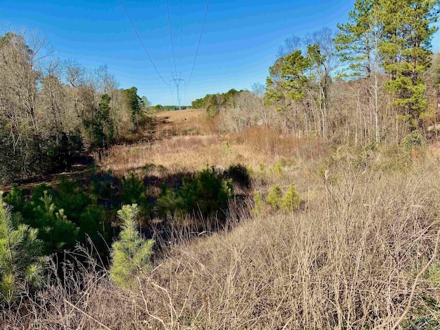 Listing photo 3 for LOT16 Chestnut Dr, Harleton TX 75651