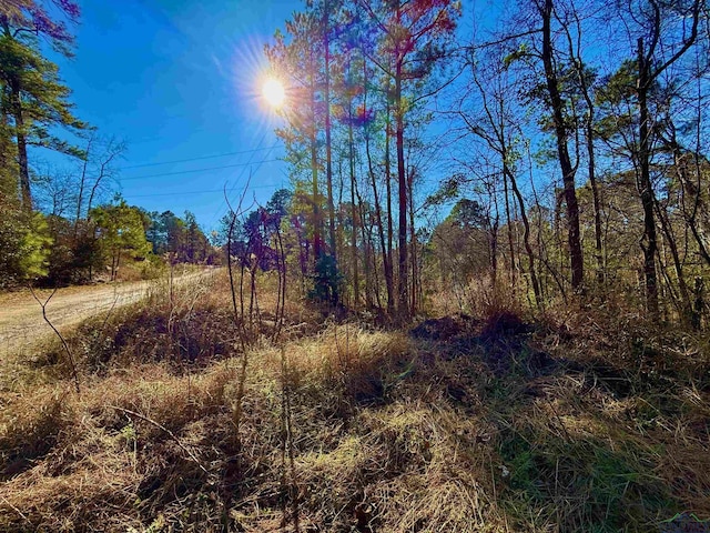LOT16 Chestnut Dr, Harleton, TX 75651 - photo 2