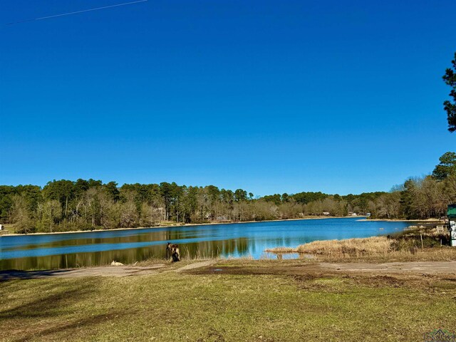 LOT16 Chestnut Dr, Harleton, TX 75651 - photo 9