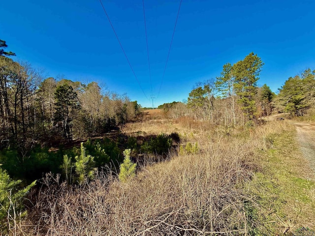 LOT16 Chestnut Dr, Harleton TX, 75651 land for sale