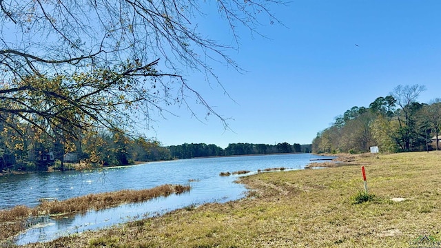 LOT16 Chestnut Dr, Harleton, TX 75651 - photo 5