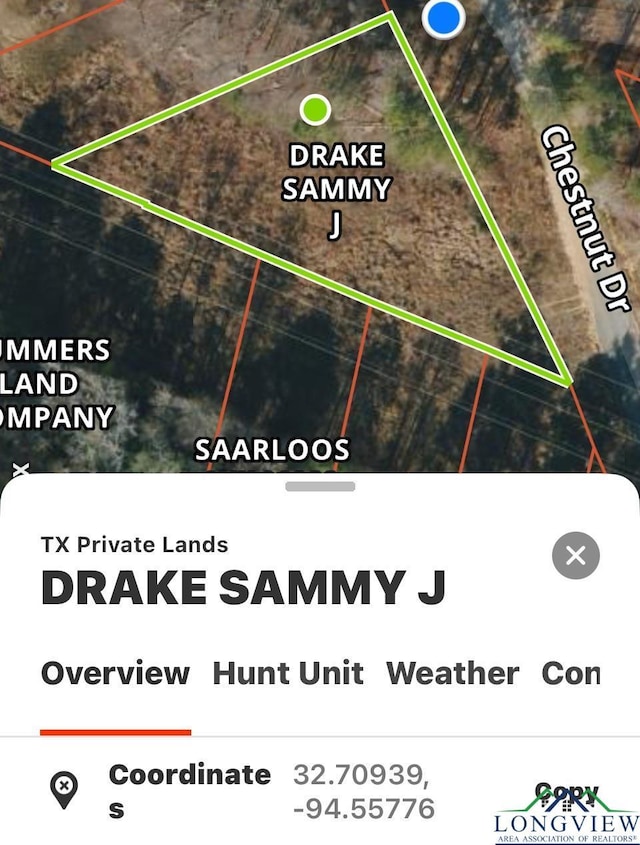 LOT16 Chestnut Dr, Harleton, TX 75651 - photo 8