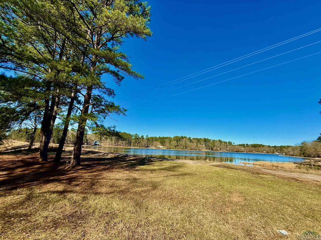 LOT16 Chestnut Dr, Harleton, TX 75651 - photo 4
