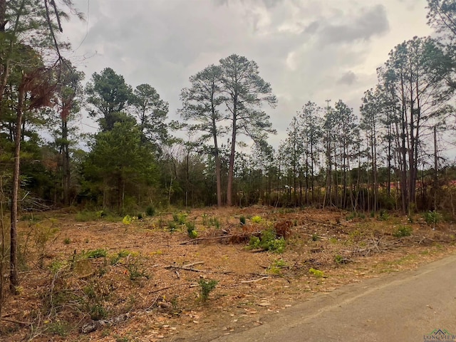 4005 Forest Hills Dr, Kilgore TX, 75662 land for sale