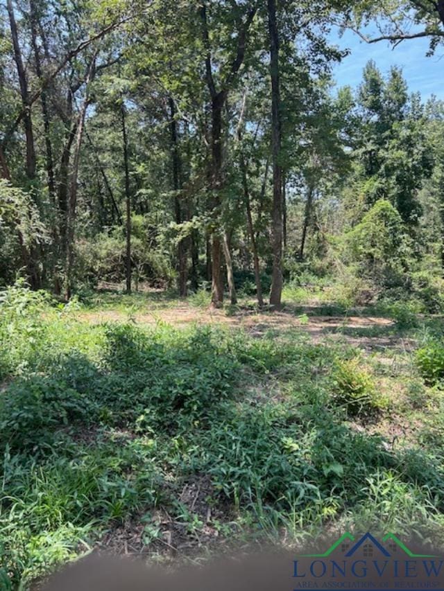 Listing photo 2 for TBD Cr 4365, Mount Pleasant TX 75455