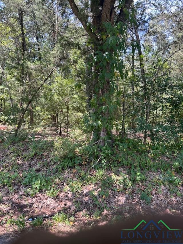 Listing photo 3 for TBD Cr 4365, Mount Pleasant TX 75455