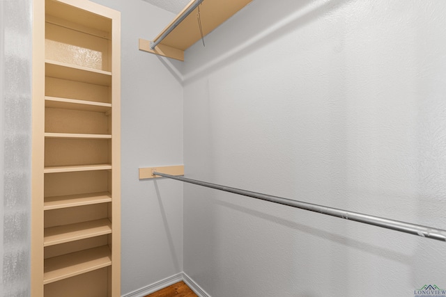view of walk in closet