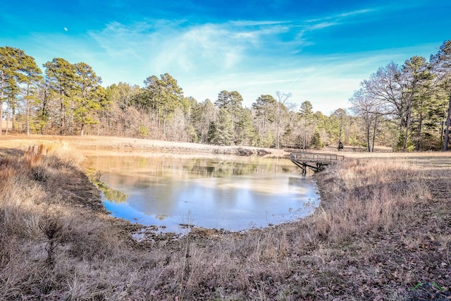 property view of water