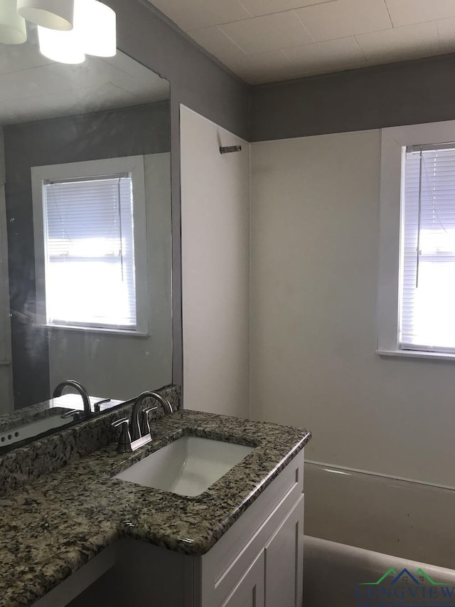 bathroom featuring vanity, a washtub, and a wealth of natural light