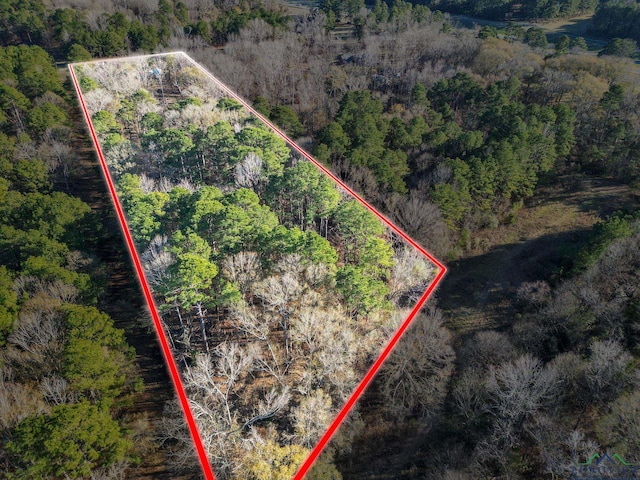 birds eye view of property featuring a view of trees