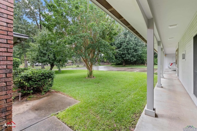 825 University Dr, Carthage, TX 75633 - view of green lawn