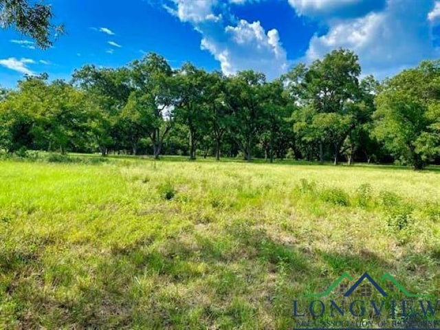 Listing photo 3 for TBD Mcr 3200, Jefferson TX 75657