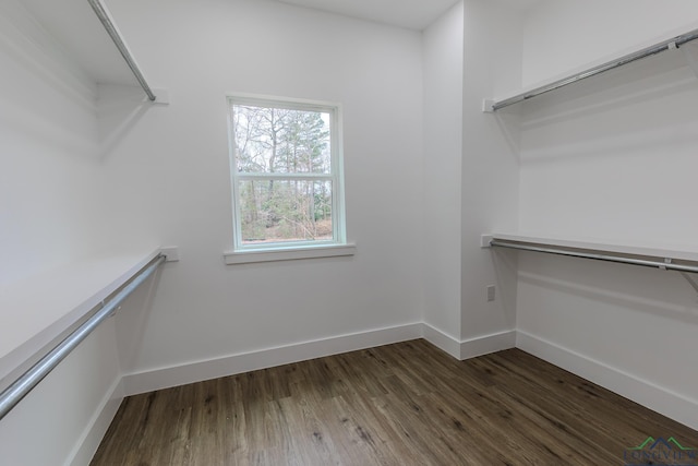 walk in closet featuring dark hardwood / wood-style floors