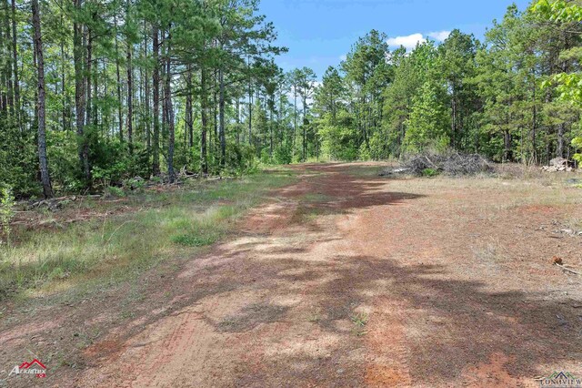 2573 County Road 222, Henderson, TX 75652 - photo 11