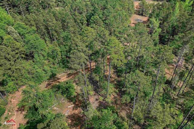 2573 County Road 222, Henderson, TX 75652 - photo 9