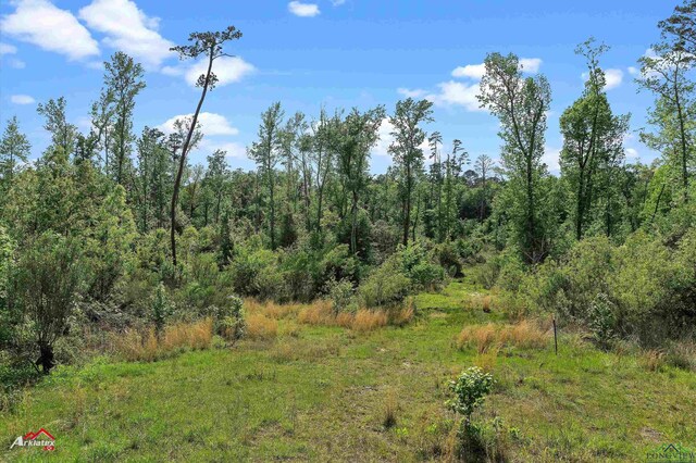 2573 County Road 222, Henderson, TX 75652 - photo 8