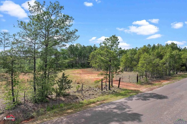 2573 County Road 222, Henderson, TX 75652 - photo 1