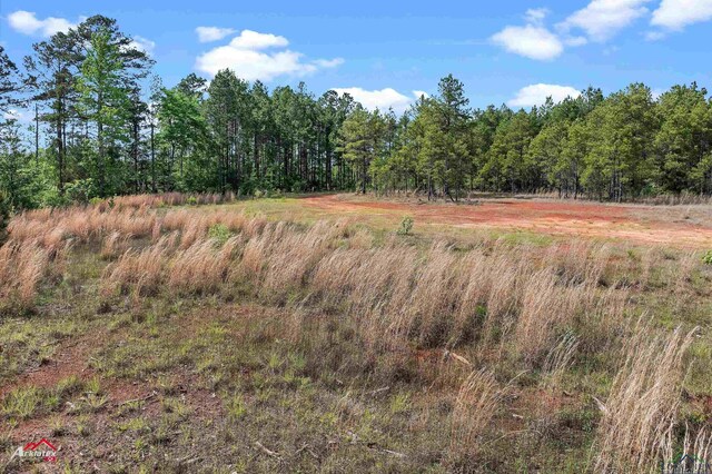 2573 County Road 222, Henderson, TX 75652 - photo 10