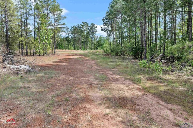 2573 County Road 222, Henderson, TX 75652 - photo 13