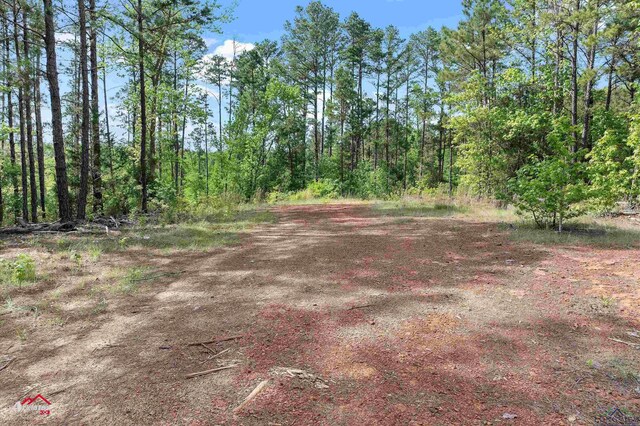 2573 County Road 222, Henderson, TX 75652 - photo 12